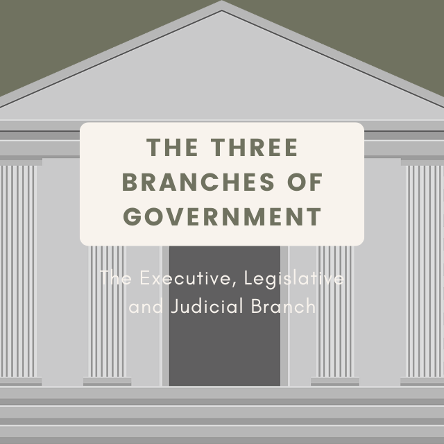 The Three Branches of Government Vulta Blog