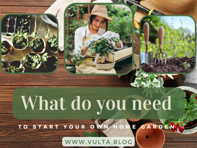 What do you Need to Start Gardening: Things you need to start a Garden