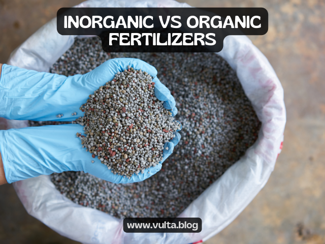 Inorganic vs Organic Fertilizers: What to choose? And Why?